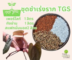 ชุดชำเร่งราก by TGS ชำต้นไม้ได้ 10-15 กระถาง(4นิ้ว)