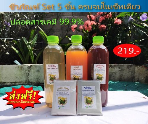 ชีวภัณฑ์ เซ็ท 5 ปุ๋ยน้ำทางใบ ฮอร์โมนพืช กำจัดเชื้อรา เพลี้ย