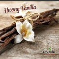 Hương Vani - Vanilla Flavor dạng bột (chiết lẻ từ bao 25kg). 