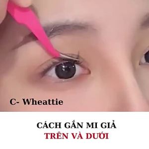 Lông mi giả (Hộp lớn 10 hàng) Mi giả tự nhiên mi tai thỏ mi anime Mi giả tách sợi kèm keo gắn mi 4 món