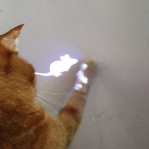 Cat LED Pointer Toy(Mouse/ Paw Pattern)cat toys that save owner energy toys for cat mainan kucing (NEET NEKO)