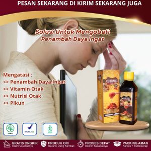 Obat Penambah Daya Ingat Vitamin Kecerdasan Otak Meningkatkan Konsentrasi Otak Sering Lupa Pikun  Dengan Kurmaqu GMJ