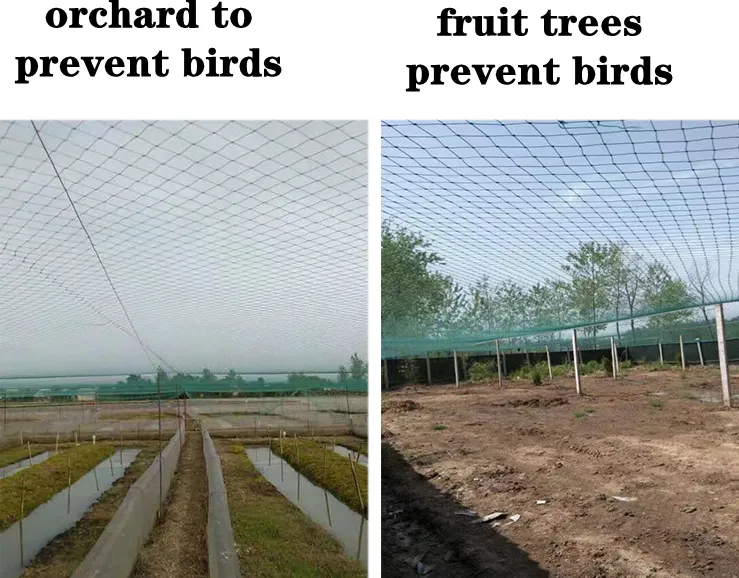 Construction Net Range Net Poultry Net Good Quality Garden Net