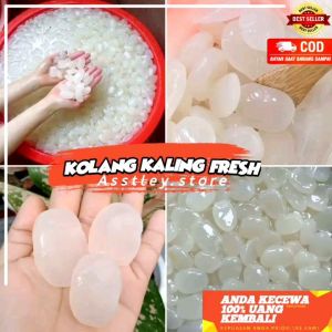 Kolang Kaling Segar 500gr Kualitas Super Pilihan