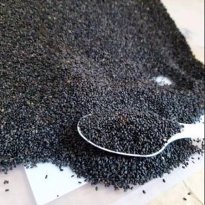 Biji Jinten Hitam / Habbatussauda / Black Cumin Seed Bisa Untuk JSR 100gr