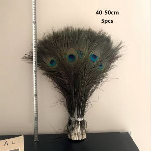 LE6Y 5PCS 25-50cm Lông chim công thật. Tự làm Handmark Xanh lá cây Sân khấu Plume biểu diễn lông vũ Chất lượng cao. Lông chim công tự nhiên Dùng để trang trí bàn làm đồ trang sức thủ công bình hoa.