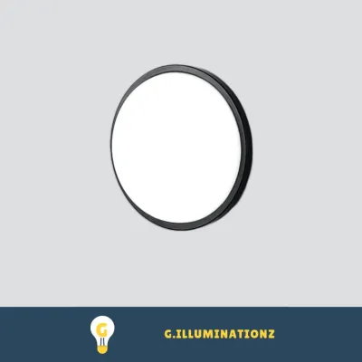 LED Modern Minimalist Slim Wall Light / Round Oval Black White Ceiling Lamp For Corridor / Balcony
