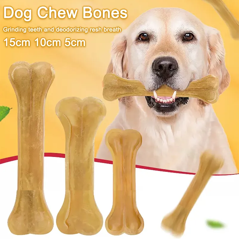 Bones for puppies to chew on best sale