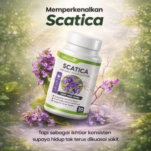 [ SCATICA ] 4 Kapsul Sehari | Herba Untuk Keselesaan Saraf Pinggang Kaki Rasa Mencucuk & Urat Tegang