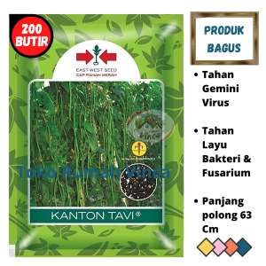 Benih Bibit Kacang panjang Hijau Manis KANTON TAVI 200 Butir dari Cap Panah Merah Biji Sayuran