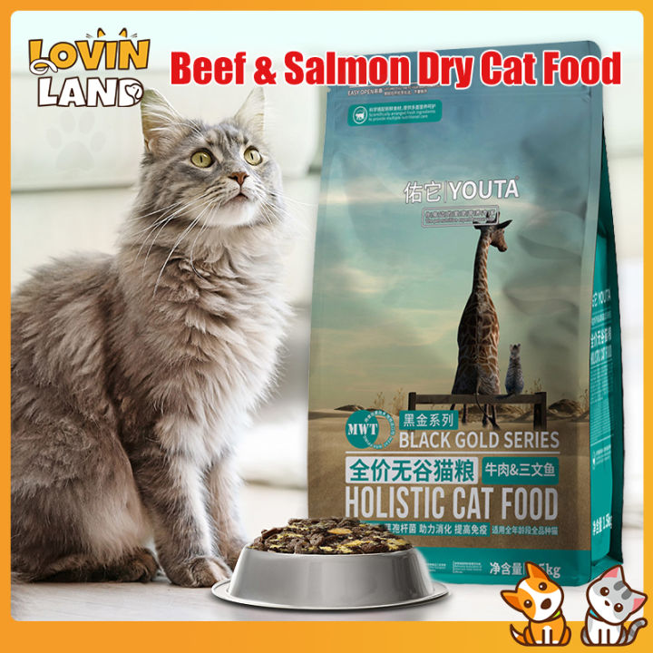 Grain Free And Small Batch Cat Food With Beef Reference: Youta Dry Cat Food Grain Free Cat Food Beef Salmon