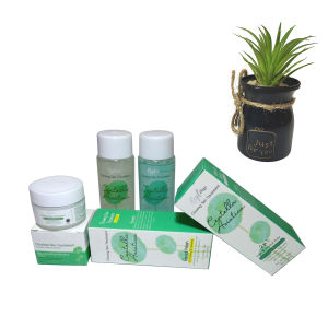 Reglow Paket Skincare Perfect Glowing by dr. Shindy Putri / Cream Wajah Skin care Aman BPOM