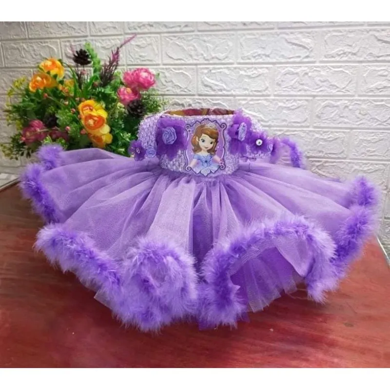 Sofia the best sale first tutu dress