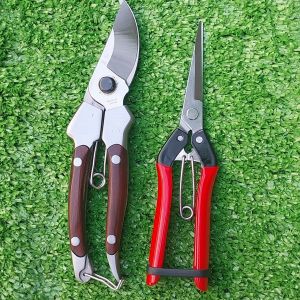 Kéo cắt cành SK5 Nhật Bản cao cấp tay cầm bọc gỗ HINOKI không gỉ