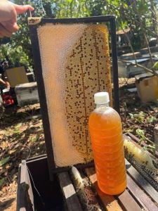 Mật Ong Caphe Thiên Nhiên từ ĐăkLắk - Ngon - Bổ - Rẻ. Rất tốt cho sức khỏe