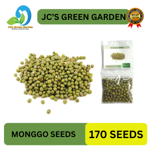 (170 SEEDS) MONGGO SEEDS/MUNGBEANS/HIGH YIELD/EASY TO GROW - FOR PLANTING ONLY