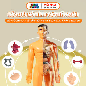 Đồ chơi giáo dục Đồ chơi mô hình cơ thể người phát triển tư duy của bé- DC5033