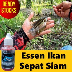 BAYAR DI TEMPAT Essen Mancing Ikan Sepat Siam Gacor 30ml