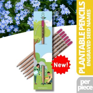 Ecò Plantable Pencil FORGET ME NOT Flower Herb & Vegetable Seeds Eco-Friendly Organic Sunflower