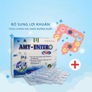 Men vi sinh Amy-Entero plus bổ sung lợi khuẩn hỗ trợ tiêu hóa cải thiện hệ vi sinh đường ruột