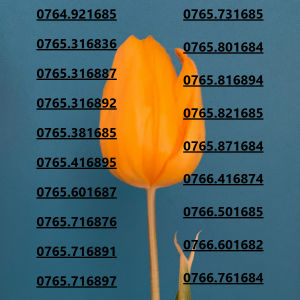 Sim Mobifone 168 giữa Tượng trưng cho sự phát triển phát đạt thăng tiến(CHƯA KÍCH HOẠT PHẢI ĐĂNG KÝ CHÍNH CHỦ )