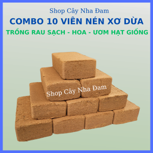 Viên Nén Xơ Dừa Đất Sạch Hữu Cơ Trồng Cây Rau Sạch Ươm Hạt Giống (10 Viên)