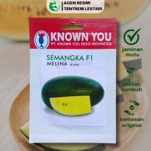 Benih Semangka F1 MELINA SF-5656 11 BIJI Known You Seed