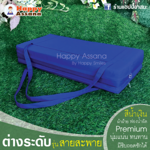 เบาะรองนั่ง ต่างระดับ รุ่น สายสะพาย หน้ากว้าง 21 นิ้ว มีช่องใส่ของด้านข้าง มี 2 สี กากี และ น้ำเงิน เน้นพกพาสะดวก