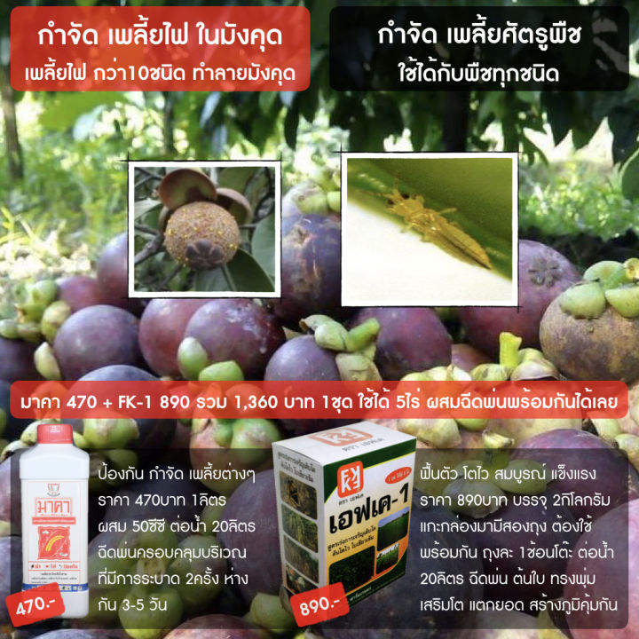 มาคา สารอินทรีย์ FK-1 กำจัดเพลี้ยไฟมังคุดและบำรุงพืช