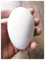 Telur Ayam Kampung Jawa Segar Tembean - Kualitas Terjamin dari Peternakan Berkualitas!. 