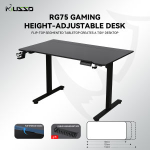 MUSSO RG75 Two Piece Split Panel Electric Height Adjustable Gaming Desk Carbon Fiber Finish Computer Table Home Office Game Desk With Monitor Arm Compatibility