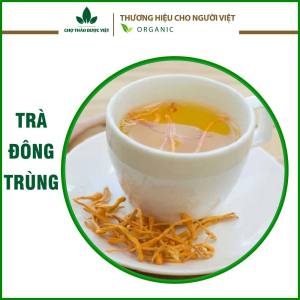 Set 5-10 gói trà đông trùng hạ thảo mix sẵn (Trà tứ vị bồi bổ sức khỏe dưỡng nhan tăng cường sức đề kháng)