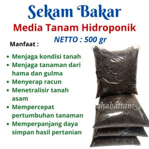 Sekam bakar 500 gram media tanam organik / arang sekam pupuk tanaman