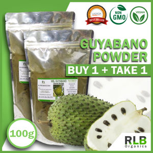 Buy 1 Take 1 100 grams Pure Natural Guyabano (Soursop) Powder - For Healthy Skin Antioxidants Cell Growth