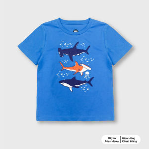 Áo phông cộc tay bé trai Bigfox Miss Meow size đại áo thun cho bé phong cách Hàn Quốc in Cá Mập cỡ 3-11 tuổi 30kg 40kg
