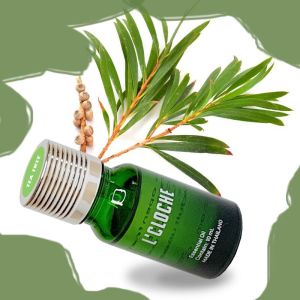Australian Tea Tree Essential Oil ขนาด 10mL - น้ํามันหอมระเหย นําเข้าจากประเทศออสเตรเลีย