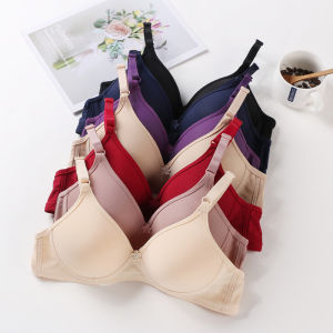 Lizida Japanese Girl Small Cups Gather Push Up Bra Without Steel Ring Minimizer Underwear