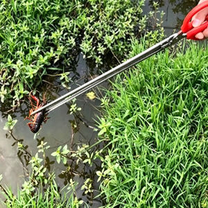 Eel Clip Fishing Tool Stainless Steel Straight/Curved Eel Gripper with Plastic Handle Multifunctional Fish Clip Multiple Sizes