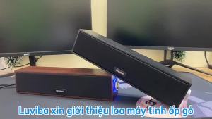 Loa máy tính vi tính bass mạnh để bàn loa nghe nhạc mini pc laptop điện thoại tivi LUVIBA E09