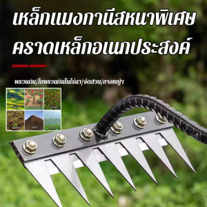 คราดตะปูมัลติฟังก์ชั่น ทนทาน กําจัดวัชพืช เครื่องมือเกษตร ถอดออกได้ ขูดชิ้นใหญ่ วัสดุหนา ความแม่นยํา