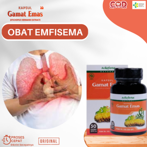 Obat Emfisema Obat Gurah Paru Paru Obat Sesak Nafas Pneumonia Obat Asma Bronkial Obat Lendir Paru Paru Obat Bronkitis Kronis Tbc Asma Dan Batuk Dengan Kapsul Gamat Emas