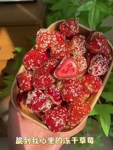 100g 冰糖草莓脆冻干草莓冰糖葫芦酸甜酥脆 Rock Candy Strawberry Crisp Freeze-Dried Strawberry