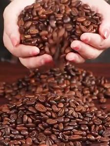 DK coffee bean 500g Dark Roast coffee bean/Italian coffee beans