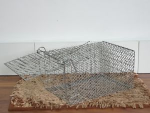 Bẫy lồng chuột sắt KT: 25x18x14 cm (có thể tái sử dụng nhiều lần)