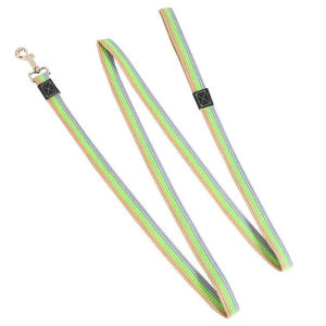 2m Long Dog Training LeashLead Non-Slip Rubber Nylon Training Walking Rope Work Dog Leashes For Small Medium Large Big Dogs