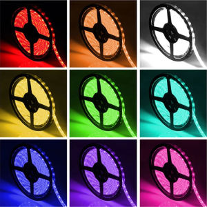 5M SMD 5050 LED Strip Light DC 12V Flexible LED Tape Ribbon White Warm White 60leds/m RGB Waterproof Ruben For Home Decor Room Bedroom TV Backlight