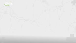 Alpha Lipoic Acid 600mg N-Acetyl Cysteine 600mg Acetyl L-Carnitine 500mg Benfotiamine 300mg - Thực phẩm bổ sung hỗ trợ thần kinh cho phụ nữ và nam giới với Vitamin B1 B6 & B12 - Sản xuất tại Mỹ 90 viên