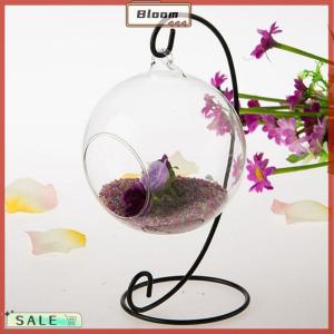 Follow Get New[Bloom Z] 23cm 9 Iron Plant Stand Holder for Clear Hanging Vase Home Decor