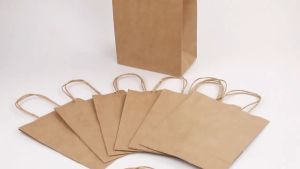 50pcs Kraft Paper Bags with Rope Handle Gift Shopping Party Favor Bag Brown DIY Present Packaging