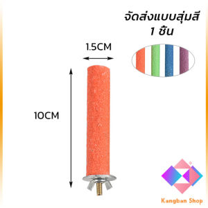 KANGBAN ก้านไม้ของเล่นสําหรับนกแก้ว คอนลับเล็บ จัดส่งแบบสุ่มหลายสี ราคาต่อ 1 ชิ้น Wooden Bird Perch